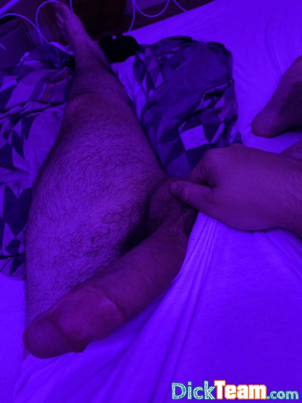 Profil de bite31 - Homme - Gay - 25 ans : Cherche nudes et ou bite à sucer sur Toulouse 