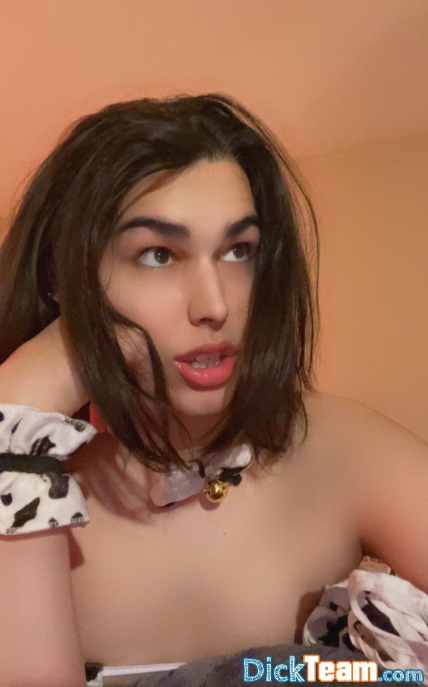 blese - Homme - Bi - 24 ans : Disponible sexcam et reel je suis trans et j’ai une belle queue 
Contactez moi mes chéris 